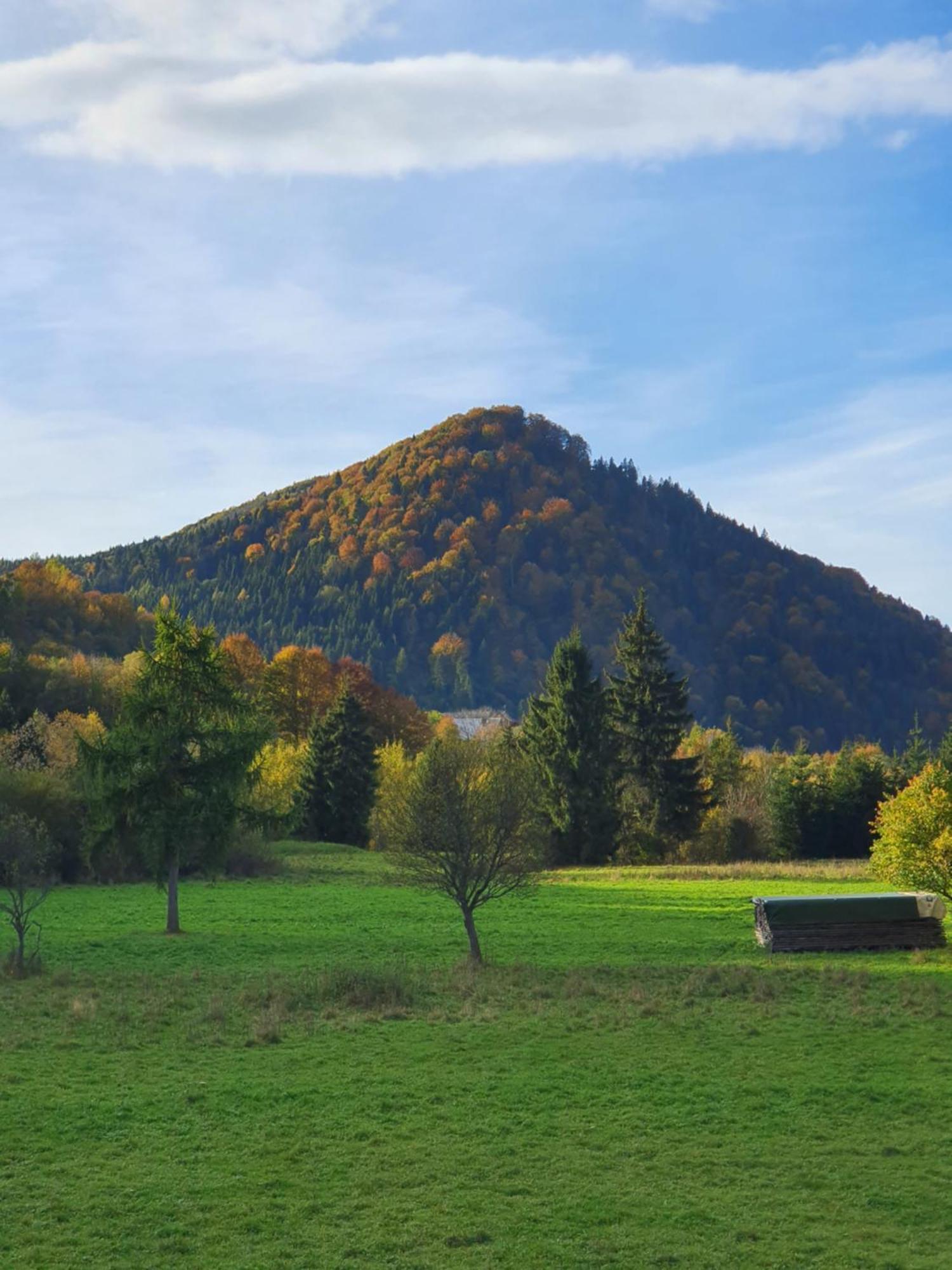 Korona Pienin & Holiday home